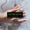 Let me go in - BoyuanP&巡音卢卡&CYBERDIVA