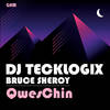 QwesChin (Original Mix) - DJ TeckLogix&Bruce Sheroy