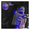 Perfection (Pierre Deutschmann Remix) - Drumcomplex