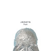 Flash - JAHAYA