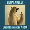 House of Words (feat. OJ Mountain) - Signal Valley&OJ Mountain