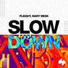 Slow Down - Pleight&Mary Mesk&Eduardo Banzoli Filho&Mariana Mesquita