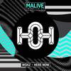 Here Now (Middath's Golly Remix) - Malive&Middath