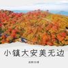 小镇大安美无边 (伴奏) - 周婷&孙博