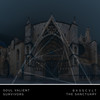 Survivors - Soul Valient
