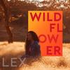 Wildflower - Lex