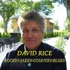 My Lovely Love - David Rice