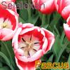 Pascua (Original Mix) - Selalexan