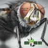 Fly In The Ointment(feat. Adam Hyman) - Honey Bone Rush&Adam Hyman