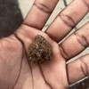 Moztasa (Explicit) - Michael kush