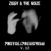 Photoexpresionism V.1Z - Ziggy&The Noize