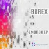 Feel The Mood (Original Mix) - Burex