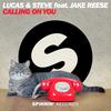 Calling On You - Lucas And Steve&Jake Reese