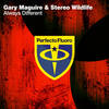 Always Different (Radio Edit) - Gary Maguire&Stereo Wildlife
