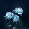 Blue Roses (Explicit) - Remz&BennyDank