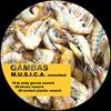 M.U.S.I.C.A. (DJ Andy Garcia rework) - Gambas