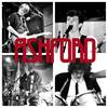 Disarray - Ashford