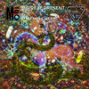 Surreal Present - MeMo Cherri