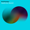 Medalle - David Knudson&Bayonne