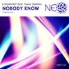 Nobody Know (Original Mix) - L)Vladimir(P&Yulua Oreshko