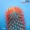 Feeling (Extended Mix) - White Sheep