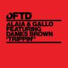 Trippin' (feat. Dames Brown) (P.o.L. Extended Mix) - Alaia & Gallo&Dames Brown