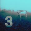 Free at last - Meeca&Rainer