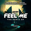 Feel Me (Zedtek Remix) - Zedtek&Kizzie T