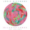 Ollantaytambo (Ayahuasca Version) - Biesmans