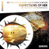 Perfections Of Her (Carlos Martz Remix) - Aditya K Balu&Henry Moe&Bianca Molini&Carlos Martz