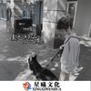 沈阳曲风 (DJ版) - 98k&安瑾