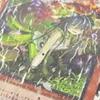 lucifrrr (Explicit) - Thyn