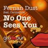 No One Sees You - Fernan Dust&Carmellow