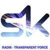 Transparent Force (Original Mix) - Radik