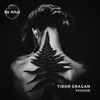 I Don't Like You - Tibor Dragan