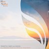 Mary (Original Mix) - Project 8