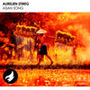 Asian Song (Original Mix) - Aurelien Stireg