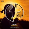 Desiderata (The Avains Remix) - Aeden&The Avains