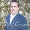 Me Gusta Mirarte - David Carrasco