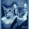 Goin Out (Dub Mix) - Cesura