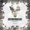 Dynamic (Original Mix) - Carlos Pires