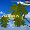 Foreign (Explicit) - Lex Breezy