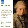 III. Allegretto - Robert Blocker&Biava Quartet