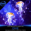 Dive (Mariion Christiian Remix) - Late Brunch&Swim INC&Mariion Christiian