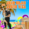 Nido de Amor - Julio Rojas&Javier Vega&D.A.R.