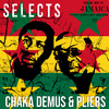 A Terror - Chaka Demus & Pliers&Spanner Banner