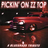 Sharp Dressed Man - Pickin' On Series