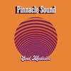 She A Di Best - Pinnacle Sound&I Fi