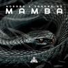 Mamba (feat. Xander NX) (Explicit) - Nosrex&Xander NX