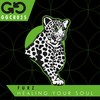 Healing Your Soul - Furz